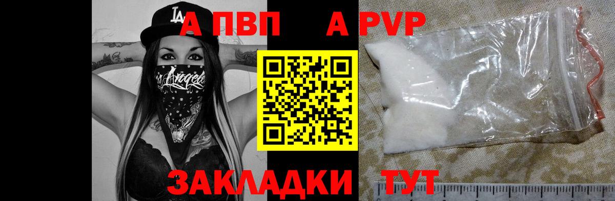 Альфа ПВП СК КРИС Коряжма