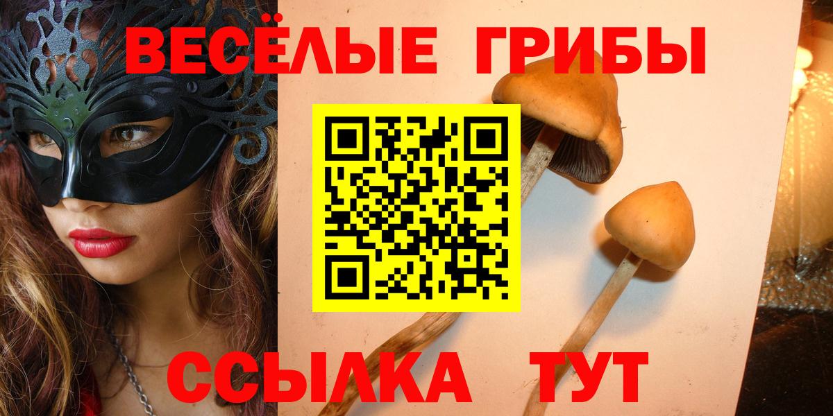 Псилоцибиновые грибы прущие грибы  Вход с VPN  Псилоцибиновые грибы GOLDEN TEACHER  Коряжма 
