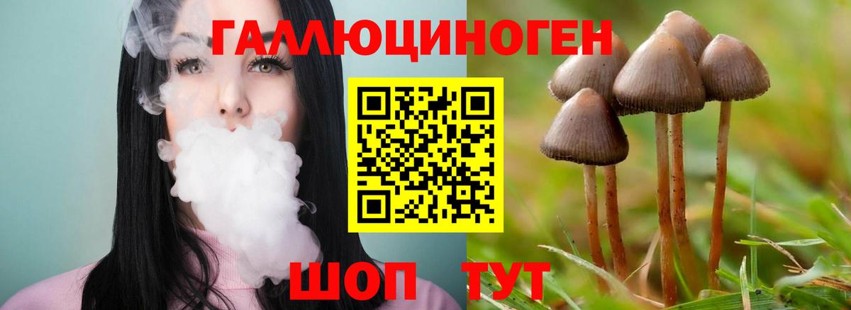 Галлюциногенные грибы Magic Shrooms Коряжма