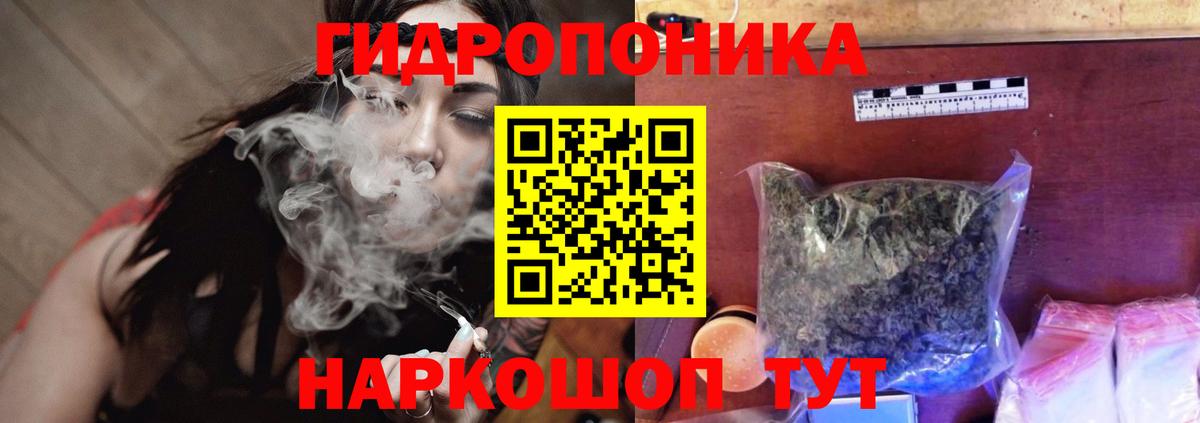 Бошки Шишки AK-47 Коряжма